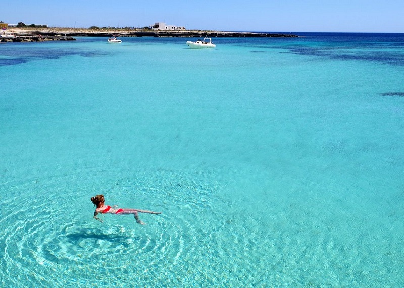 Free website template