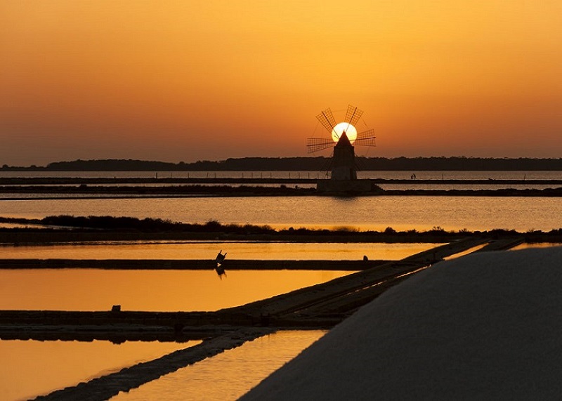 Free website template